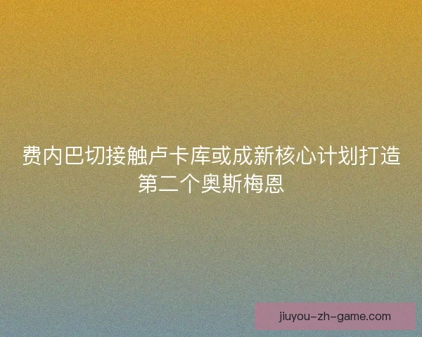 费内巴切接触卢卡库或成新核心计划打造第二个奥斯梅恩