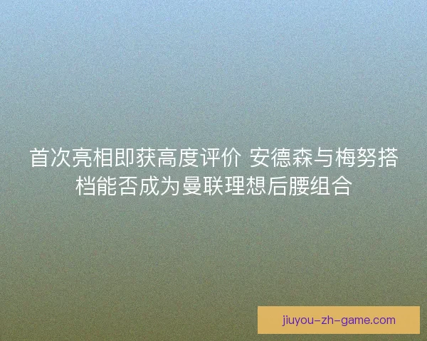 首次亮相即获高度评价 安德森与梅努搭档能否成为曼联理想后腰组合